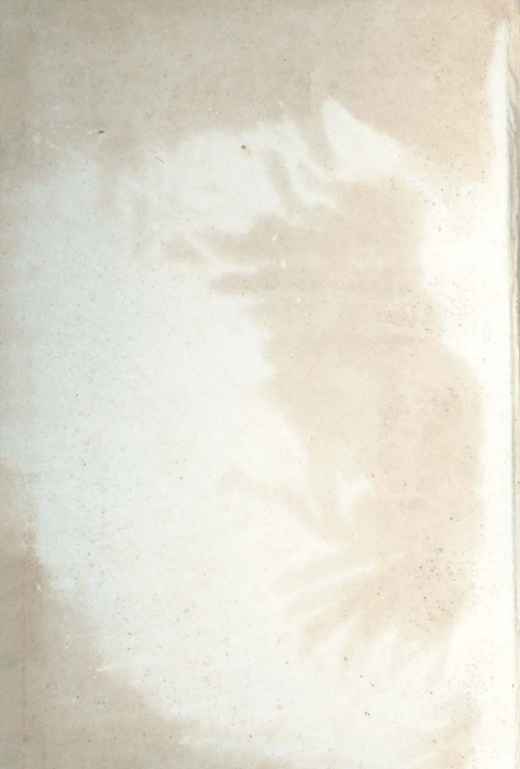 民國53年 民國53年