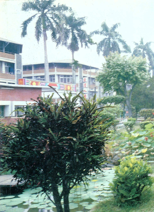 民國75年