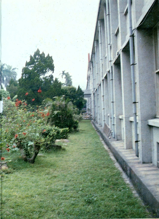 民國75年