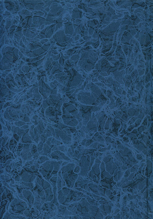 民國84年 民國84年