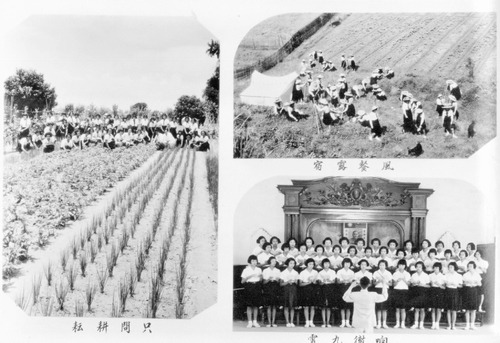 民國42年 民國42年